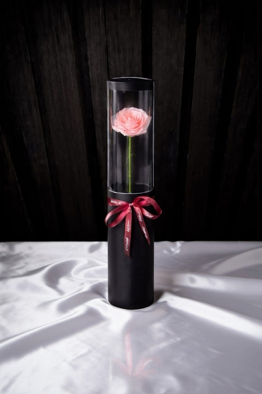 Single Rose in Luxury Box